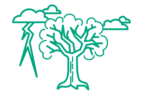 Icona grandinata e alberi – prevenzione danni alberi Francesco Tacchetto