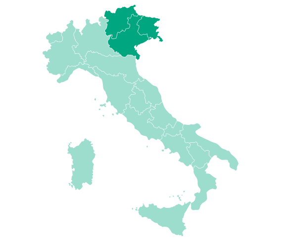 Icona mappa Italia con zone di intervento – Veneto, Trentino e Friuli – Francesco Tacchetto arboricoltore in Veneto